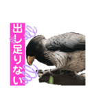 〜愛たっぷりの日常会話〜どうぶつ編③〜（個別スタンプ：19）