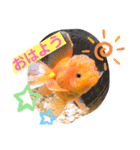 ぶしゅこ☆（個別スタンプ：6）