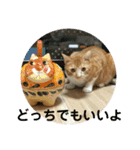茶トラのやす（個別スタンプ：27）