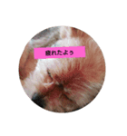 すず姫②（個別スタンプ：1）