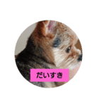 すず姫②（個別スタンプ：2）