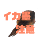 釣り嫁スタンプ(シンプル版)（個別スタンプ：22）