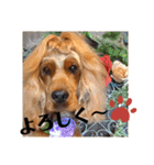 ちんぴらインギー②（個別スタンプ：2）