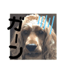 ちんぴらインギー②（個別スタンプ：4）