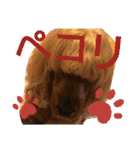 ちんぴらインギー②（個別スタンプ：7）