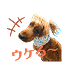 ちんぴらインギー②（個別スタンプ：21）