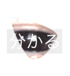 お前への愛（個別スタンプ：10）