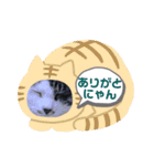 たるはなうみ（個別スタンプ：4）