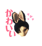 たるはなうみ（個別スタンプ：7）