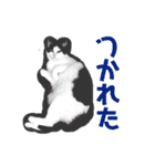 たるはなうみ（個別スタンプ：8）