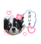 うし柄チワワのモモさん 日常編（個別スタンプ：26）
