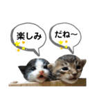 mon*habi猫スタンプ 4（個別スタンプ：7）