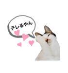 mon*habi猫スタンプ 4（個別スタンプ：14）