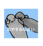 ラッコちゃんかわいいね（個別スタンプ：3）