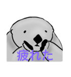 ラッコちゃんかわいいね（個別スタンプ：8）
