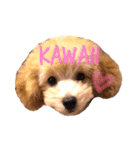Chou Chou Stickers ❤︎（個別スタンプ：11）