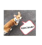 コーギーににむら（個別スタンプ：19）