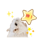 ゆみハムずスタンプ（個別スタンプ：2）