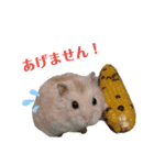 ゆみハムずスタンプ（個別スタンプ：6）