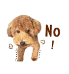 プードル WooHua（個別スタンプ：9）