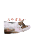 のぐち家のスタンプ（個別スタンプ：24）