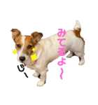 てりならむっく（個別スタンプ：2）
