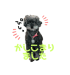 てりならむっく（個別スタンプ：6）
