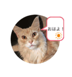 エルザスタンプ（個別スタンプ：1）