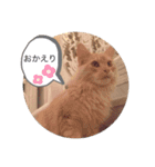 エルザスタンプ（個別スタンプ：8）