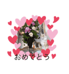 エルザスタンプ（個別スタンプ：13）