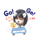 家族スタンプ0623（個別スタンプ：13）