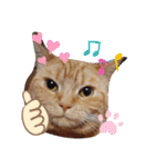 メープルちゃんのcat days☆（個別スタンプ：10）