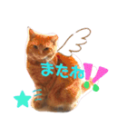 メープルちゃんのcat days☆（個別スタンプ：30）
