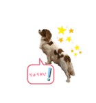 天使のテンちゃんすたんぷ（個別スタンプ：8）