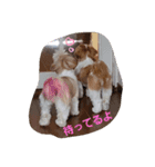 mocotam（個別スタンプ：1）