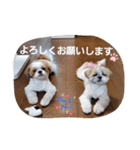 mocotam（個別スタンプ：2）