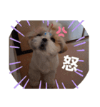 mocotam（個別スタンプ：11）