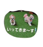 mocotam（個別スタンプ：13）
