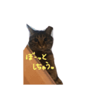 みゆ0000（個別スタンプ：2）