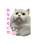 大好きおっちゃん（個別スタンプ：1）