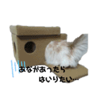大好きおっちゃん（個別スタンプ：4）