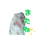 大好きおっちゃん（個別スタンプ：5）