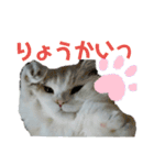 大好きおっちゃん（個別スタンプ：16）
