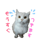 大好きおっちゃん（個別スタンプ：17）