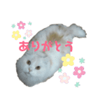 大好きおっちゃん（個別スタンプ：18）