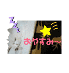 大好きおっちゃん（個別スタンプ：21）