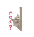 大好きおっちゃん（個別スタンプ：28）