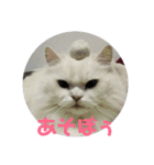 大好きおっちゃん（個別スタンプ：32）
