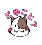 うちのいっぬ0.5（個別スタンプ：5）