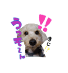 空さんぽ♡（個別スタンプ：1）